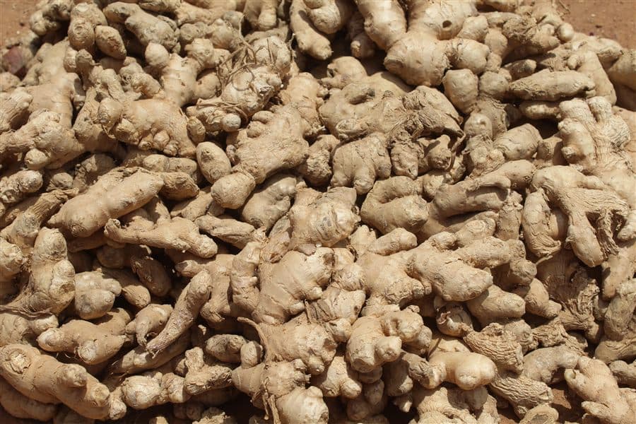 Ginger