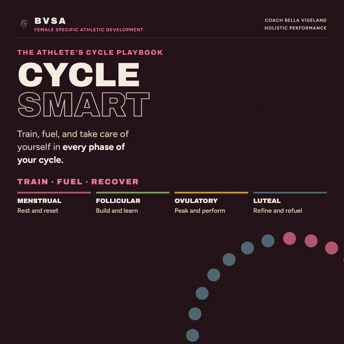 Cycle Smart cover